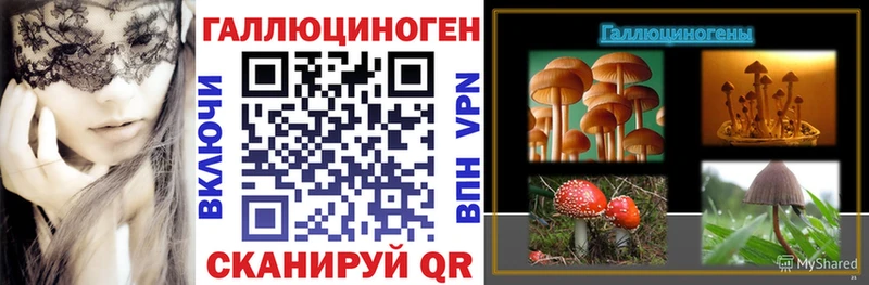 наркошоп  Гуково  Псилоцибиновые грибы Magic Shrooms 